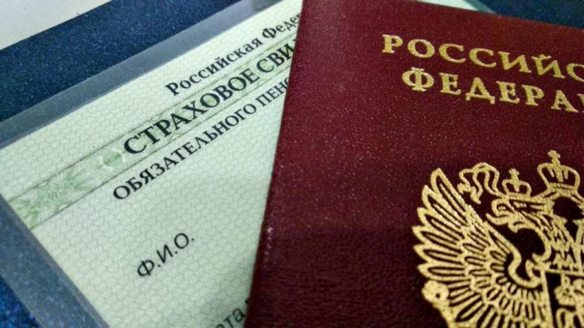 СНИЛС для челнинцев сделают в новом формате