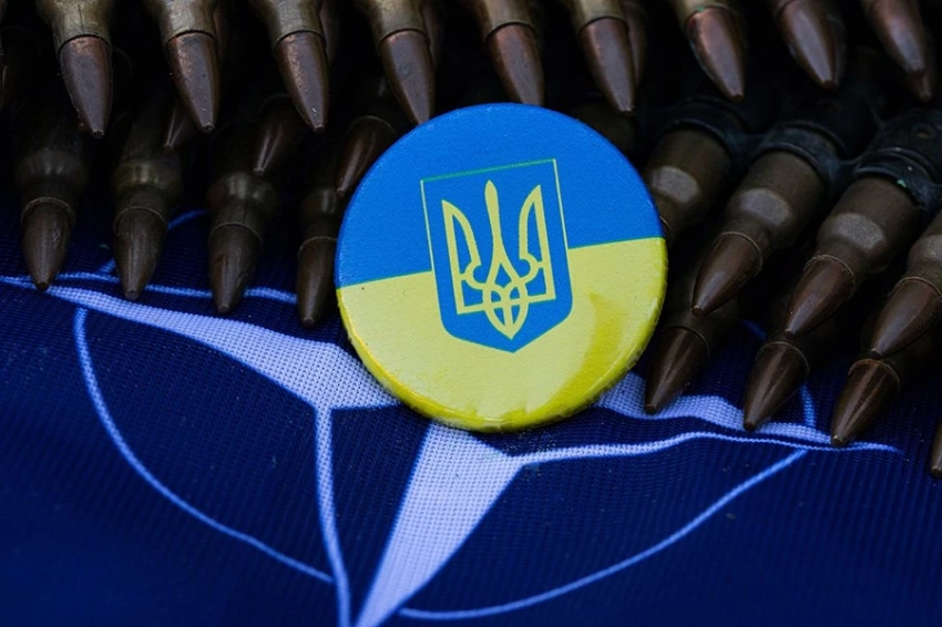 Туск указал на отсутствие единства стран в вопросе принятия Украины в НАТО
