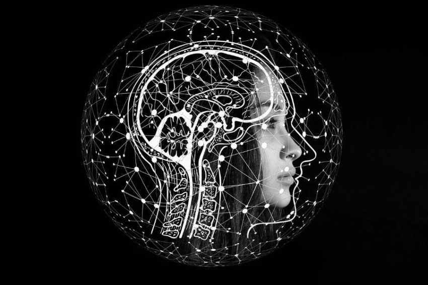 Ученые выясняют, при каких условиях люди предпочтут ИИ вместо человеческих суждений