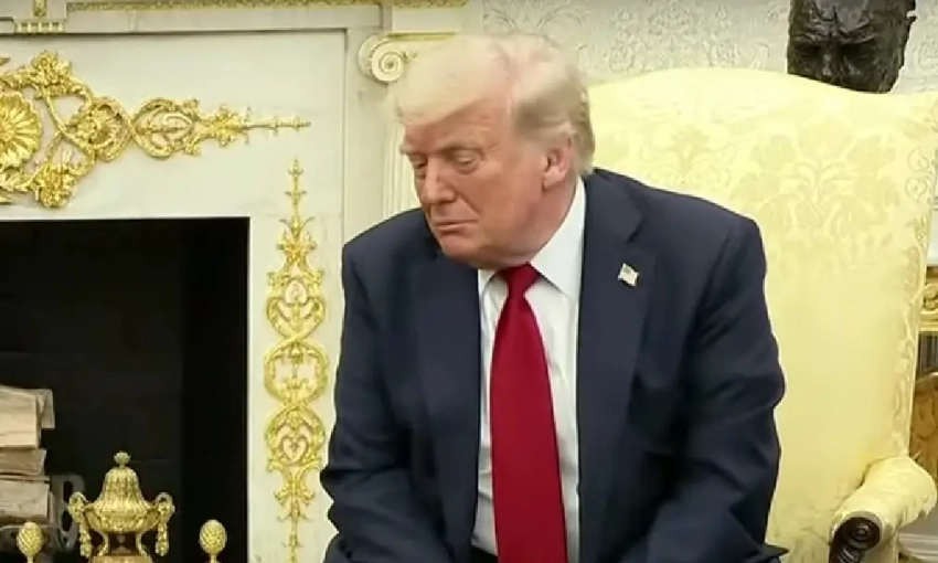 Зрелые доводы: немецкие эксперты сомневаются в эффективности 100 процентных пошлин Трампа против России