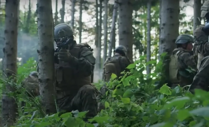 Немецкий бизнес проигнорировал инициативу Мерца по усилению бундесвера резервистами