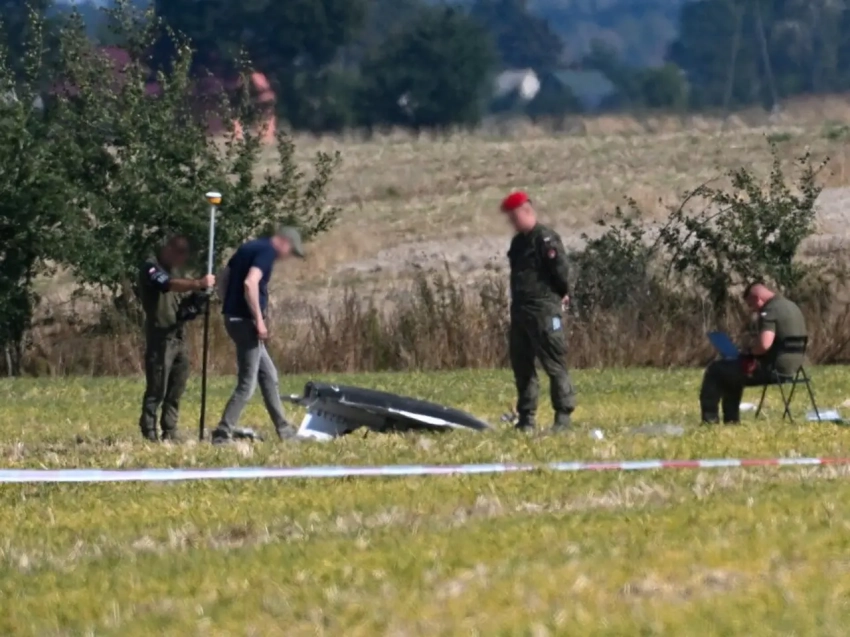 Польские страсти по ЫЫ-«Гербере» и «переживания» за ПРО США в Редзиково