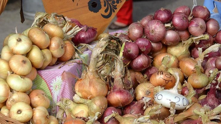 Луков день 31 октября: традиции праздника, народные приметы и запреты