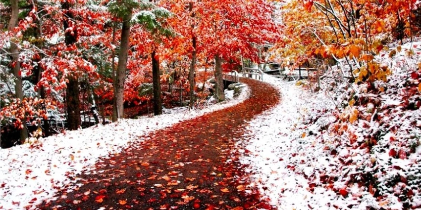 Проводы осени или Иванов день 1 ноября: какой будет зима по народным приметам