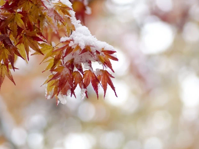 День Святого Иакова 5 ноября: приметы и строгие запреты