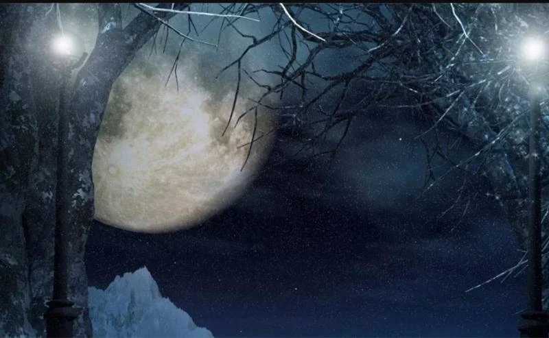 Ноябрьские заботы: что сеять и сажать по лунному календарю?