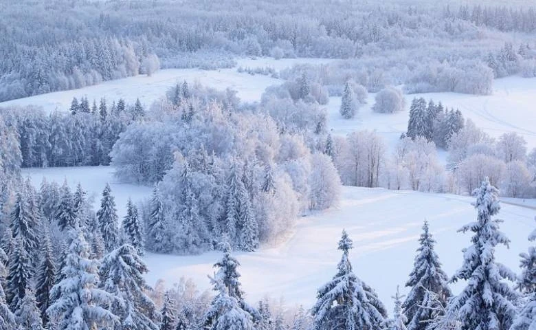 Красивые поздравления и открытки с первым днем зимы, 1 декабря, для близких людей