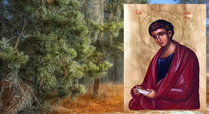 Приметы и поверья на 27 ноября помогут людям задобрить домового