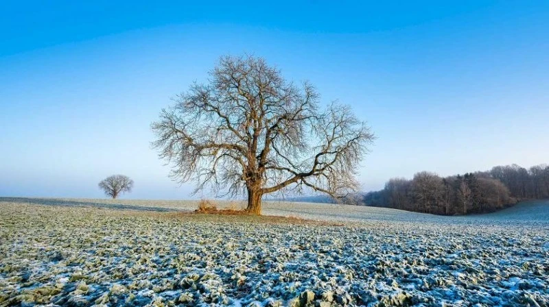Как провести 9 декабря: старинные приметы и поверья