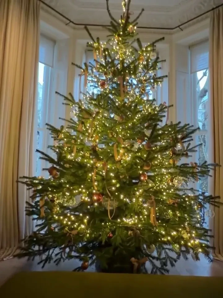 Виктория Бекхэм и Виктория Лопырёва предпочли "классику", а Рената Литвинова и Виктория Шелягова "ностальгируют" по СССР. Как звёзды украшают свои ёлки