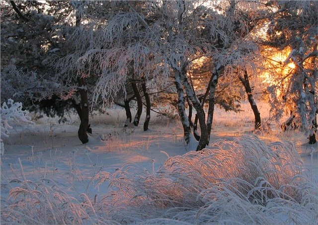 Славянские традиции, приметы и поверья на 20 декабря: как наши предки проводили этот день