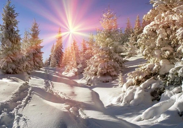 Что нельзя делать 26 декабря в Евстратиев день: приметы и особенности праздника