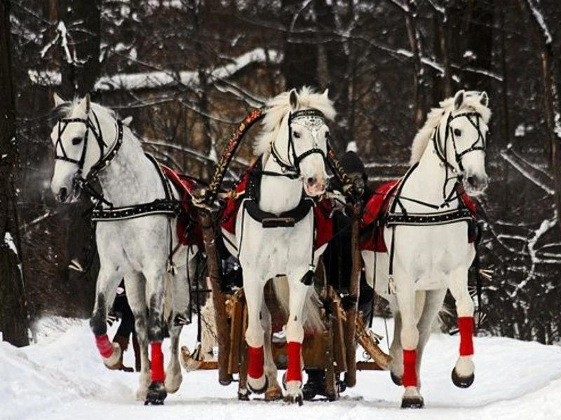 Если соблюдать приметы и поверья 9 января 2026 года, можно привлечь деньги в дом