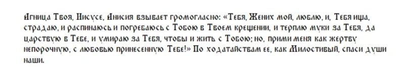 Почему 12 января нужно отказаться от соли: что можно и что нельзя делать в праздник святой Анисии Солунской и Анисии Желудочницы