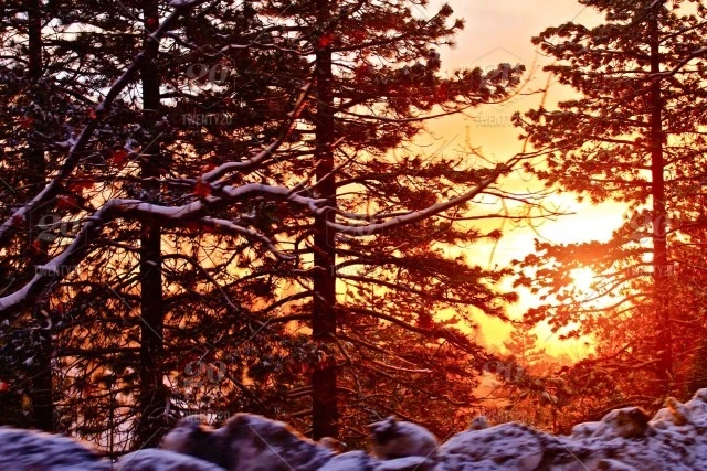 Приметы и поверья на 28 января подскажут, каким будет лето 2026 года