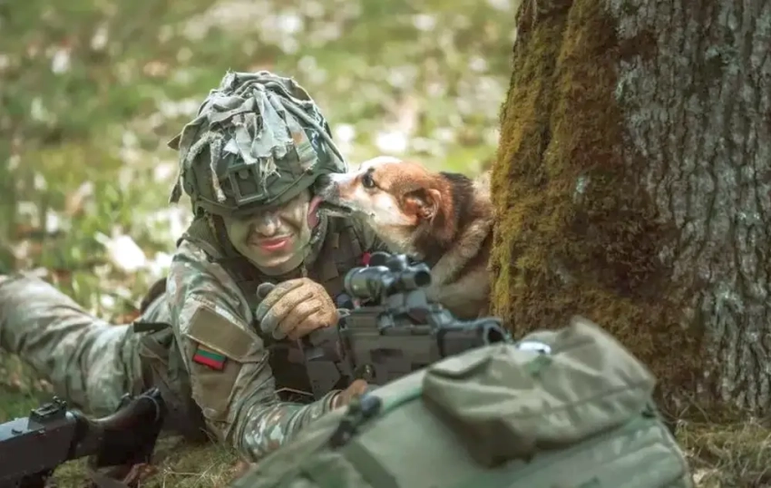 Литва готова направить на Украину свой военный контингент