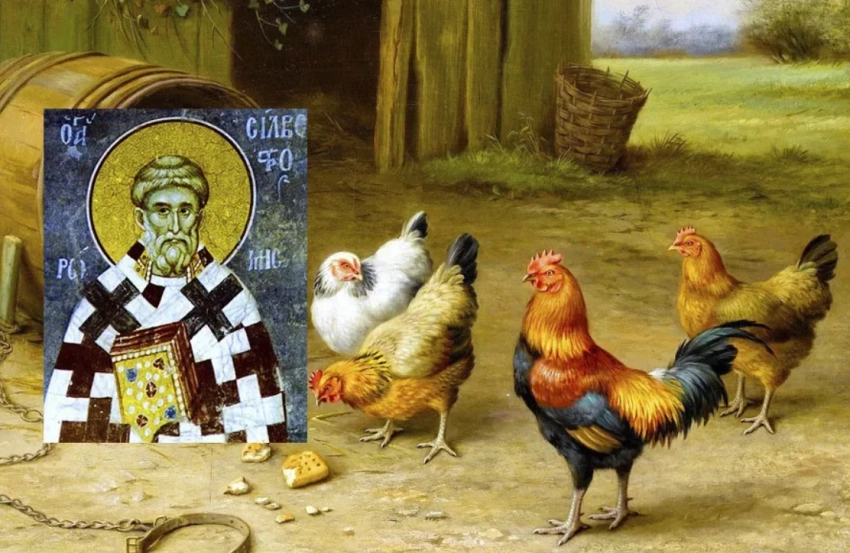 Сильвестров день или Куриный праздник: традиции, приметы, поверья на 15 января