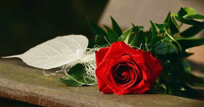 Поздравления и открытки с Татьяниным днем 25 января 2026 года