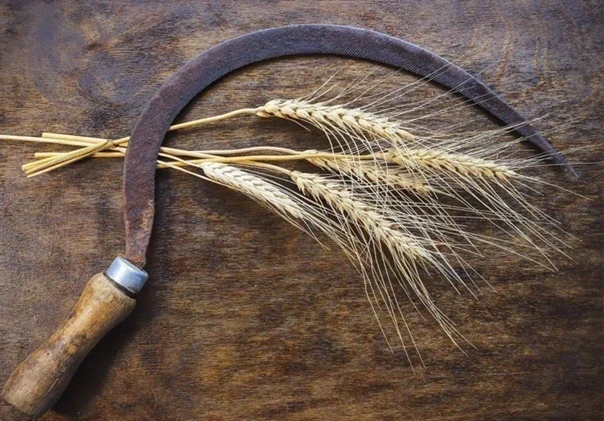 Праздник Захар Серповидец отмечается 21 февраля: приметы, традиции, поверья и обряды