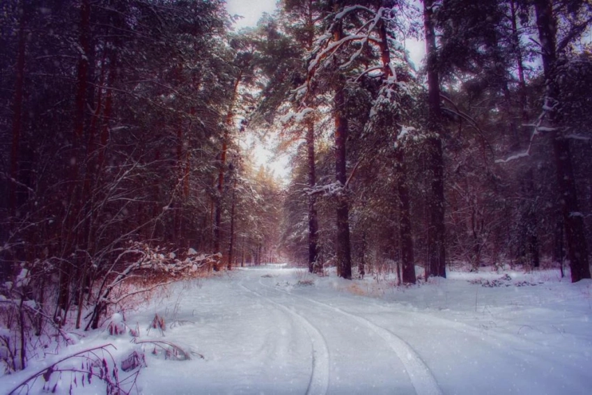 Приметы и поверья на 7 февраля помогут предугадать будущее