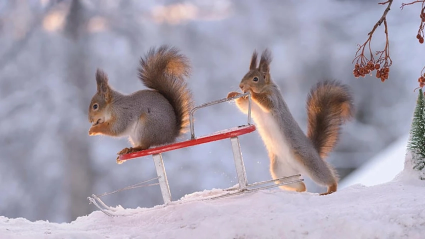 Приметы и поверья на 9 февраля 2026 года помогут узнать, что ждет впереди и какой будет погода