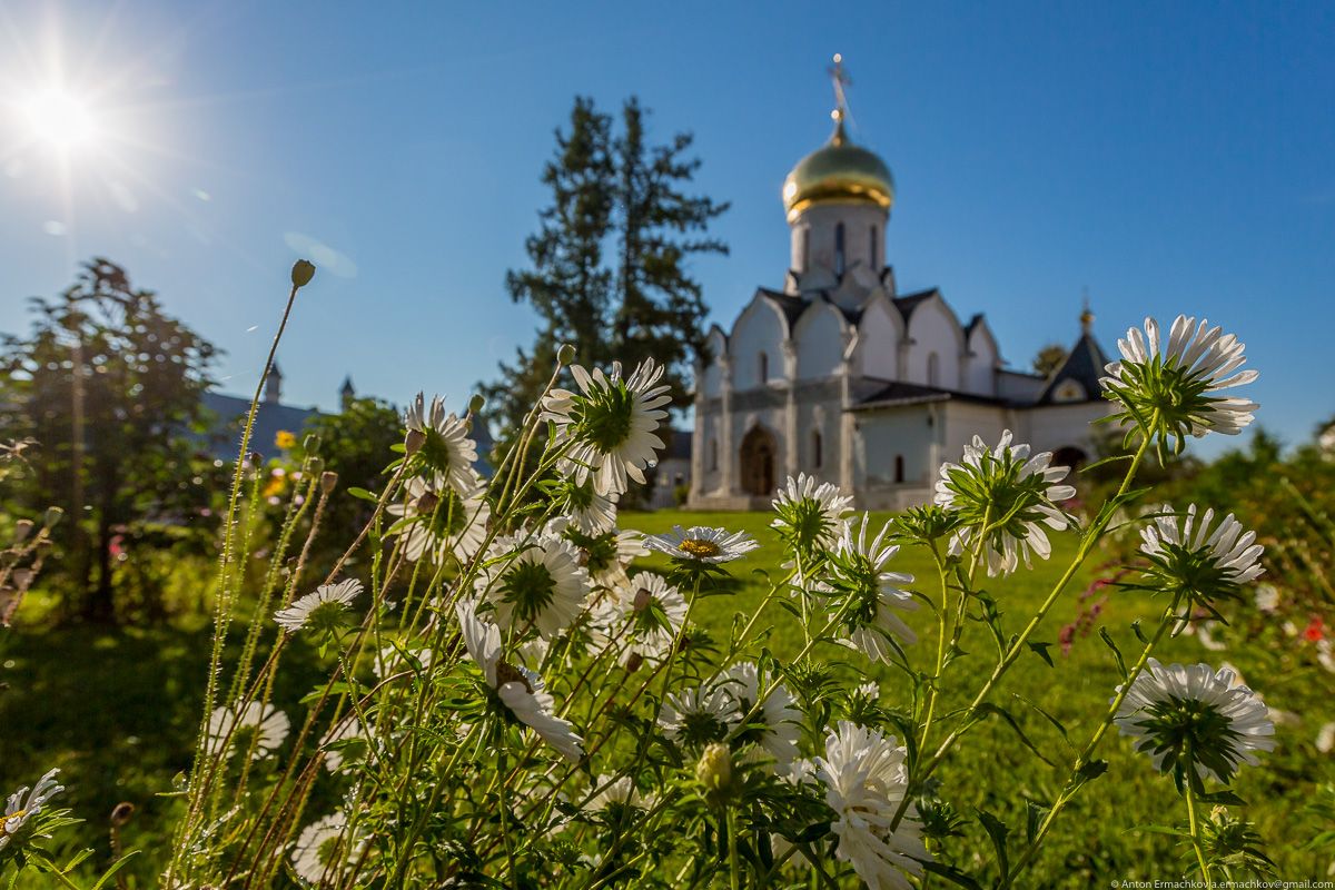 День памяти святого мученика Мефодия Патарского и народный праздник Мефодий Перепелятник 3 июля