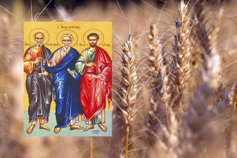 Традиции, запреты, приметы в день праздника Силуана и Силы, отмечаемого 12 августа 2025 года