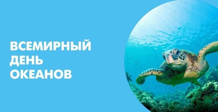 Ежегодно 8 июня отмечают Всемирный день океанов