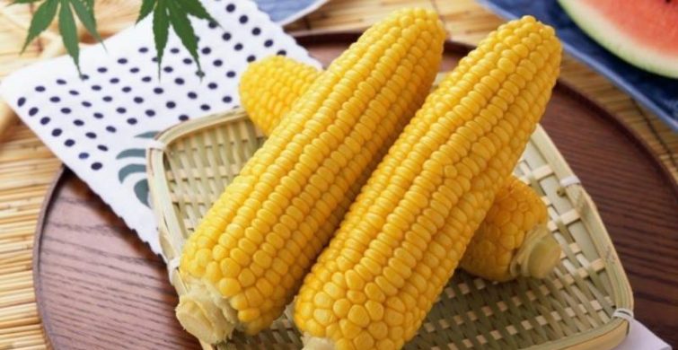 Варим кукурузу с изюминкой: что класть в воду для усиления вкуса?